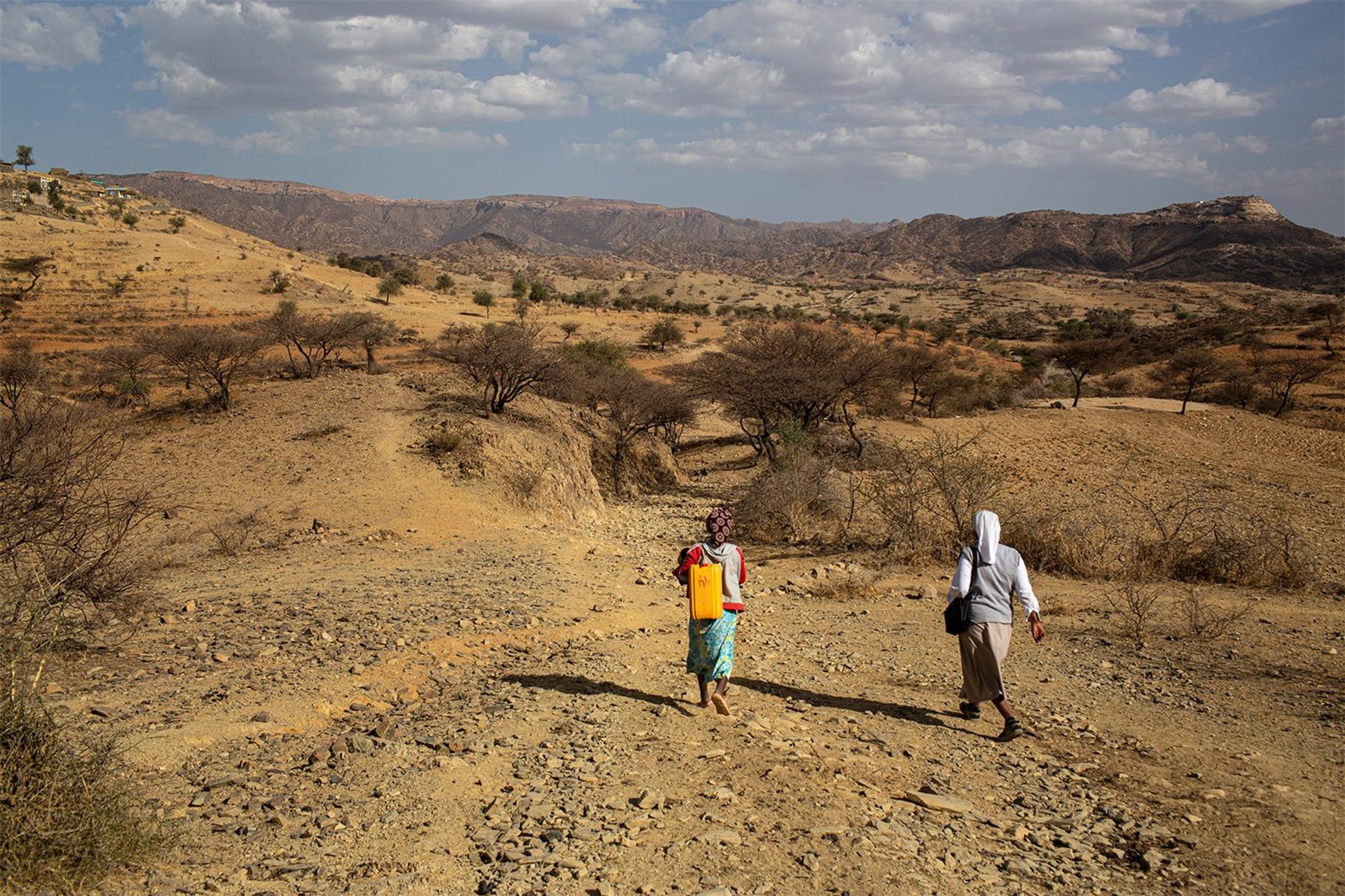 Eritrea: Cash-for-Work 5