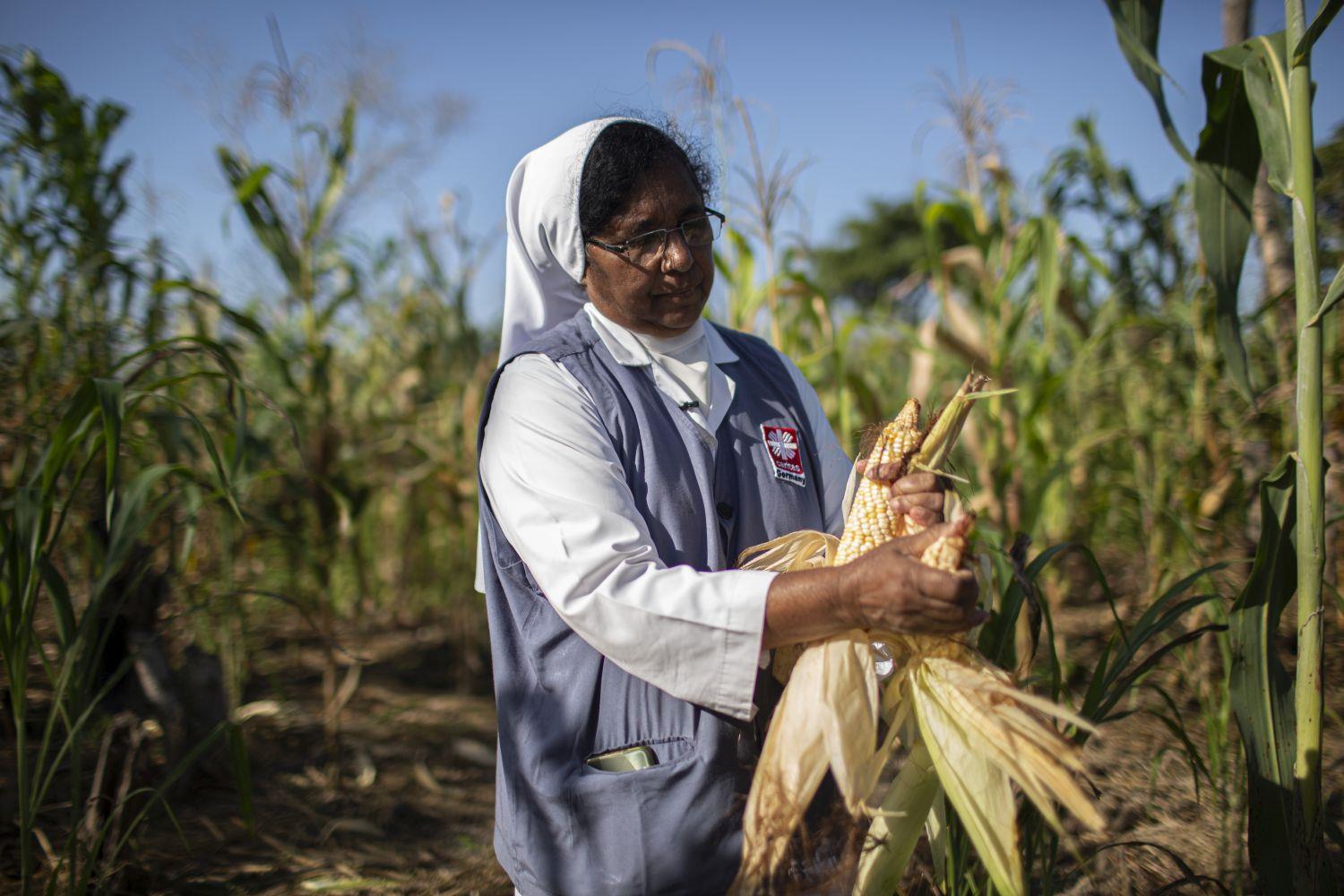 Sister Gracy auf Maisfeld