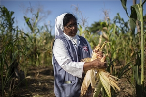 Sister Gracy bei der Maisernte Sister Gracy auf Maisfeld