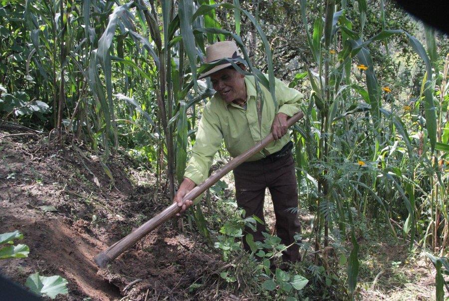 Guatemala; Armutsbekämpfung und Selbstorganisation 2